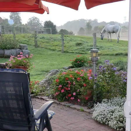 酒店 Oymanns Hamberge